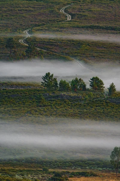 Lever de soleil brumeux à la campagne avec des arbres et des pistes — Photo