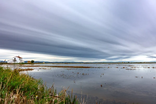 Ultra lange blootstelling van overstroomd rijst veld — Stockfoto