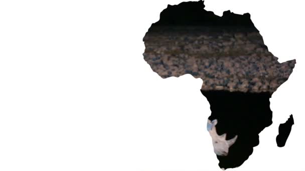 Afrikai kontinens alakú orr járás éjszaka