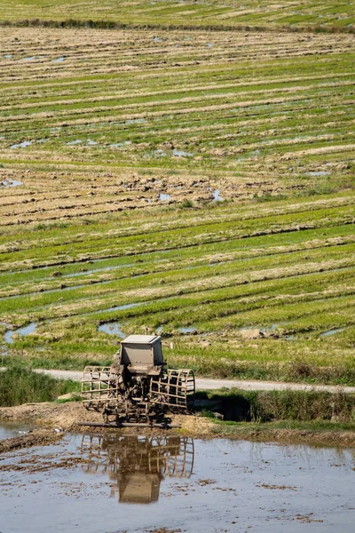 Risfält med anpassade traktor täckt med lera — Stockfoto