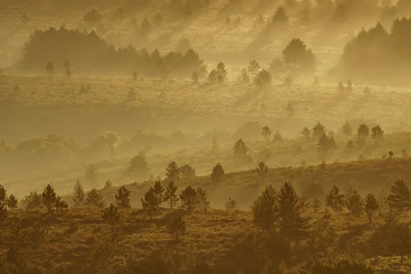 Paisaje de color naranja al amanecer con colinas y niebla —  Fotos de Stock