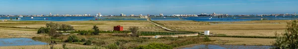 Panorama van het enorme albufera met natte rijstvelden — Stockfoto