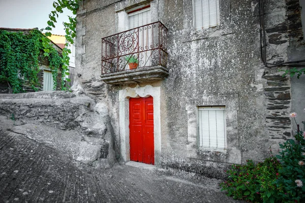 Старый фасад старинного дома и зеленый плющ — стоковое фото