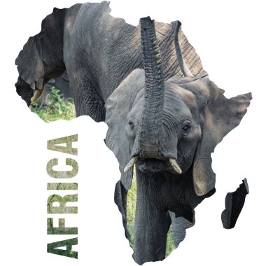 Bebek fil gövde yukarı ve Afrika kıta anahat ile