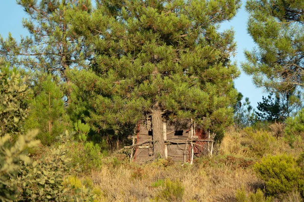 Verborgen hut voor jacht op groot wild, camouflage — Stockfoto