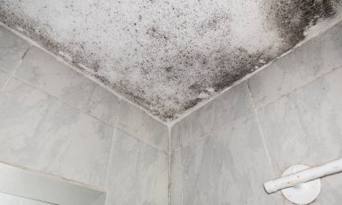 Nemli düzeltme ekleri ile banyo çatı, alttan görünüm