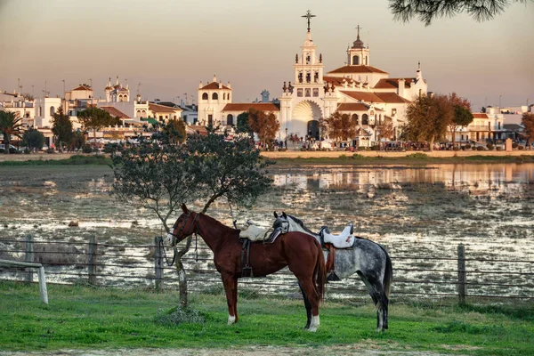 Cavallo bianco e marrone dietro il villaggio di El Rocio al tramonto — Foto Stock