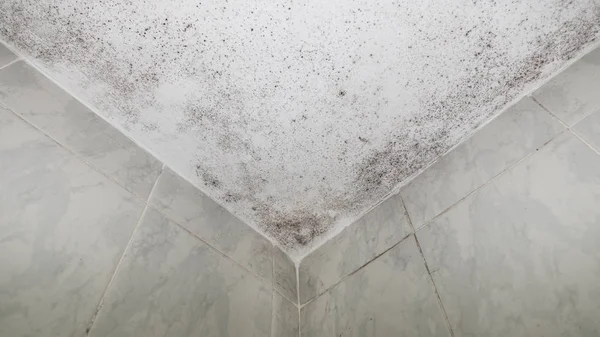 Fuktiga fläckar i bad tak hörnet, underifrån — Stockfoto