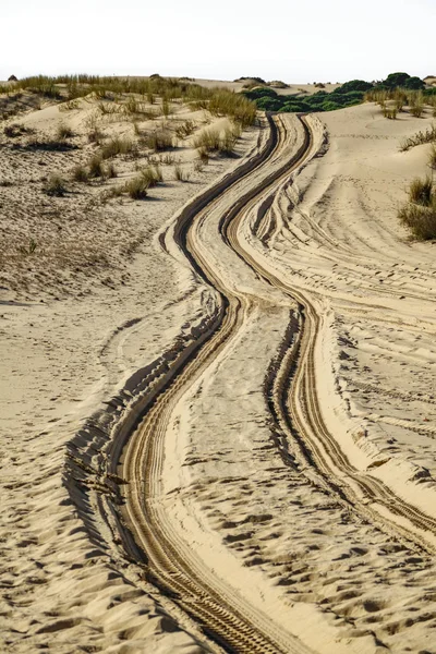 Segni di ruote attraverso la sabbia del deserto all'infinito — Foto Stock