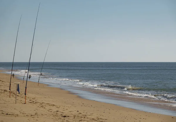 Fishing rods fishing in the beach with clear horizon