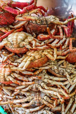 Birçok örümcek yengeçleri restoranda, dikey kompozisyon