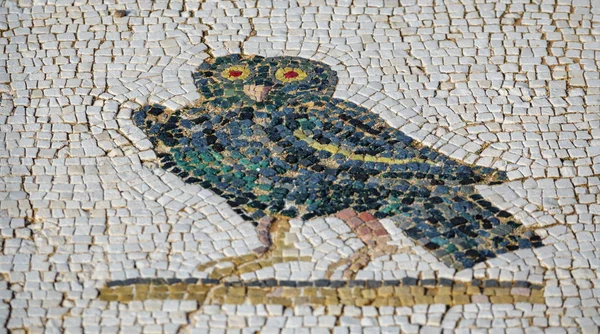 Pavimento a mosaico romano con gufo e profondità di campo poco profonda — Foto Stock