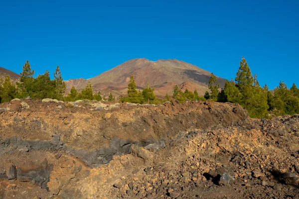 Pico viejo vulkaan krater boven de dennenbomen — Stockfoto