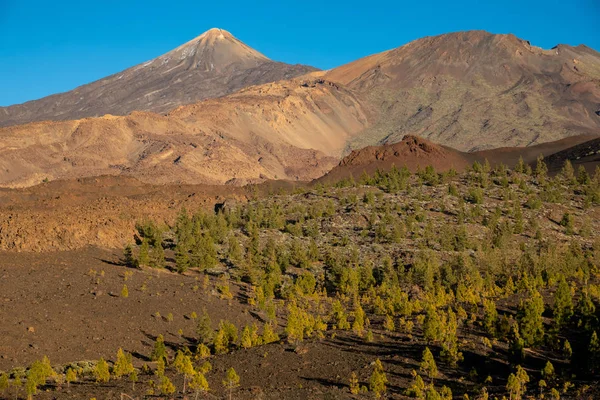 Pico viejo och teide vulkanen kratrar på solnedgång — Stockfoto