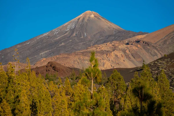 Teide vulkanen kratern ovan tallarna — Stockfoto