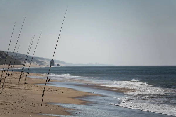 Many fishing rods in the sand beach