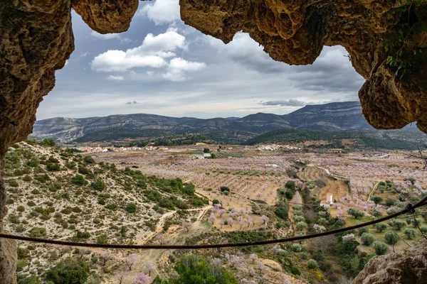 Mandelbäume blühen im Tal im Inneren der Höhle — Stockfoto