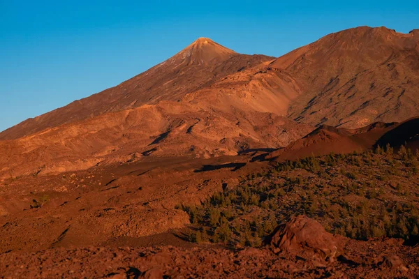 Teide a Pico viejo sopky při západu slunce — Stock fotografie