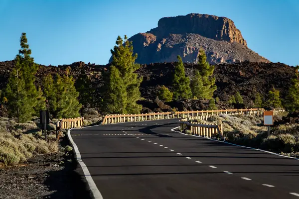 Mountain road with pine trees and mountain peak — Stock Photo, Image