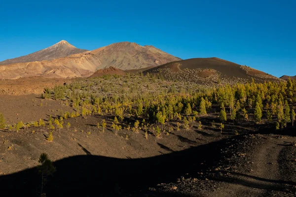 Dusk at Teide and Pico viejo volcanoes — Stock Photo, Image