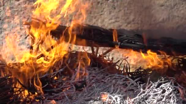 Traditional calsots over the fire in super slow motion — Stock Video