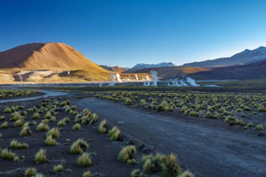 Kuzey Şili'de El Tatio Geysers krateri, Atacama Bölgesi