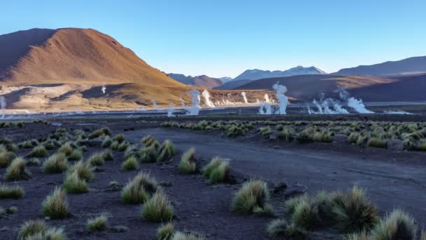 Timelapse do fumo no campo dos geysers do El Tatio, deserto de Atacama, o Chile. — Vídeo de Stock