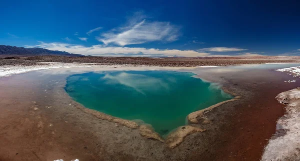 Baltinache Hidden lagoons salt lakes and Licancabur in Atacama desert gigapan — Stock Photo, Image