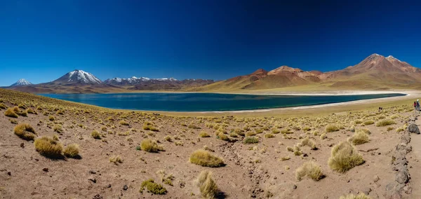 Increíble lago Miscanti gigapan en las tierras altas de Chile — Foto de Stock