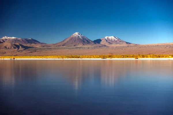 Licancabur volcano and Cejar salt lake in Atacama — Stock Photo, Image