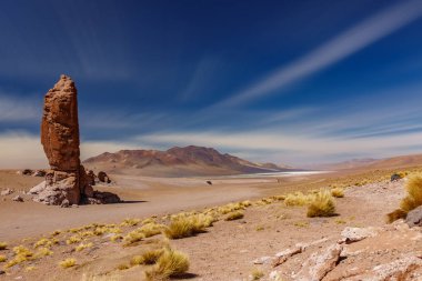 Stone formation Pacana Monks near Salar De Tara, Atacama Desert, long exposure clipart