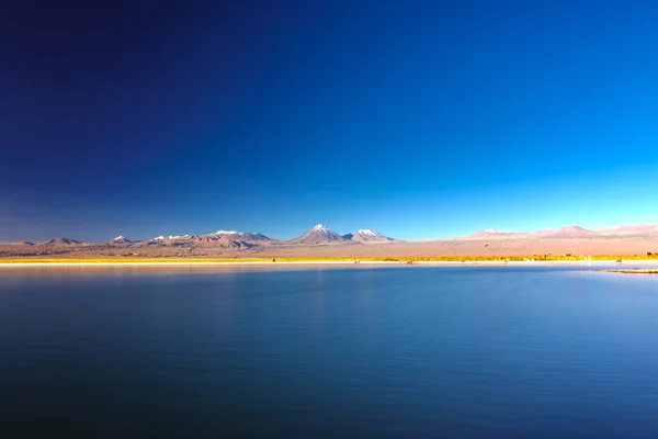 Volcan Licancabur et lac salé Cejar à Atacama, grand angle — Photo