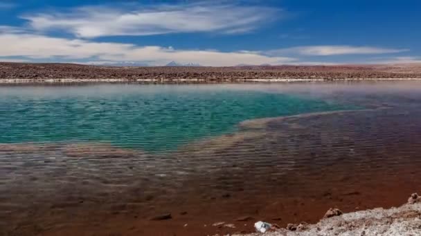 Baltinache lagúna és Licancabur vulkán a háttérben TimeLapse — Stock videók