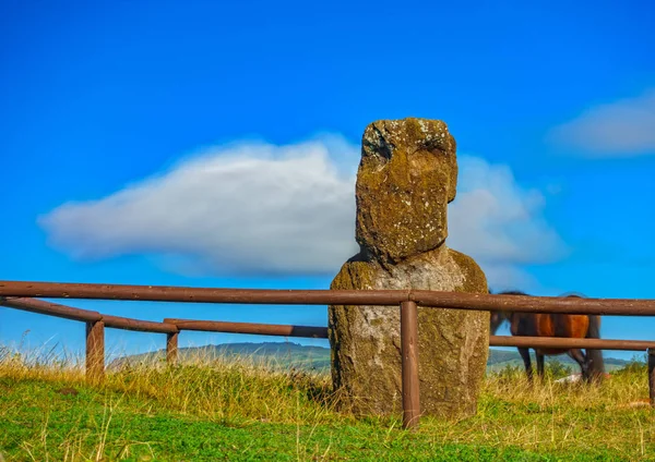 Moai isolado, cavalo e nuvem exposição ultra longa — Fotografia de Stock