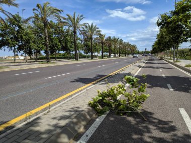Windy day with tree branches over the road