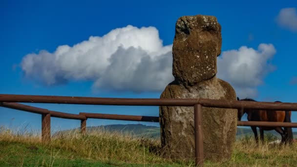 Moai individual, nube y lapso de tiempo del caballo — Vídeo de stock