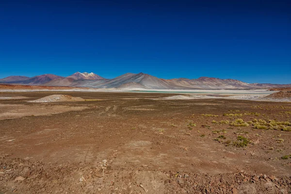 Pedras vermelhas e salar Talar em Atacama — Fotografia de Stock