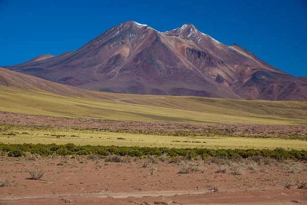 Pista Miniques e Lagune di Miscanti negli altopiani di Atacama — Foto Stock