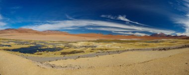 Typical highlands lagoon in Atacama desert, Chile clipart