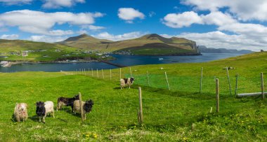 Faroe Islands, Sandavagur wide panorama with fish farms clipart