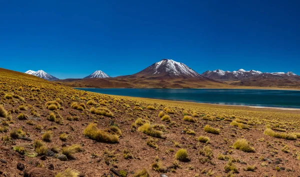 Incredibile lago Miscanti e montagne gigapan negli altopiani del Cile — Foto Stock