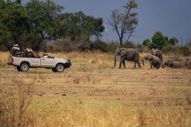 Filler ile 4x4 üzerinde Oyun sürücü safari