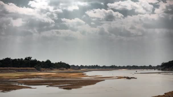 Upływ czasu rzeki Luangwa z Hippos na brzegu — Wideo stockowe