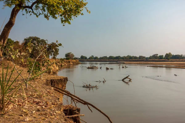 Exposition ultra longue de la rivière luangwa en Zambie avec des débris de tronc — Photo