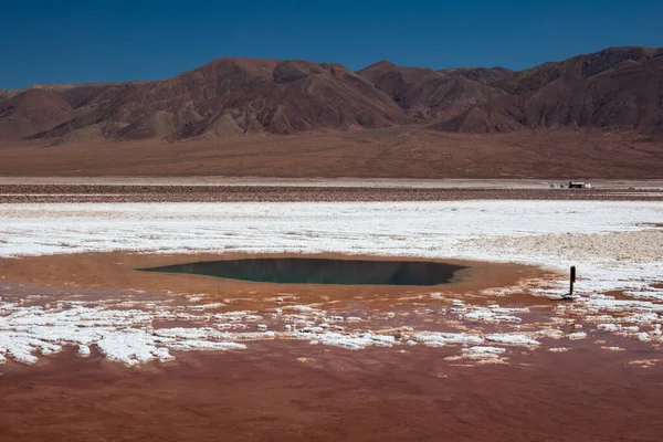 Baltinache Hidden lagoons in Atacama desert, chile