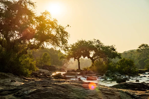 Захід сонця зі світлими променями над деревами — стокове фото