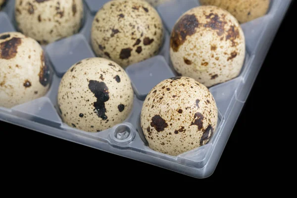 Yumurta kutusunda bıldırcın yumurtası, üst görünüm, ön plana odaklanma, siyah arkaplan — Stok fotoğraf