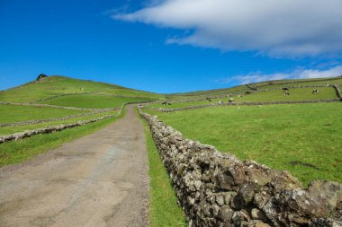 Azores 'teki Terceira adasındaki tarlalar.