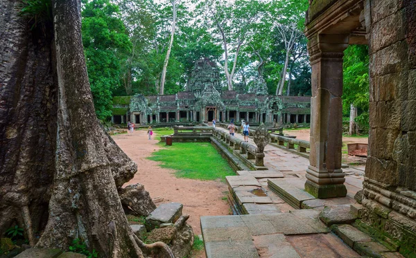 Ta Prohm, Angkor Wat — Stock fotografie