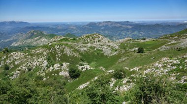 Ünlü Covadonga Kraliçesi bakış açısı